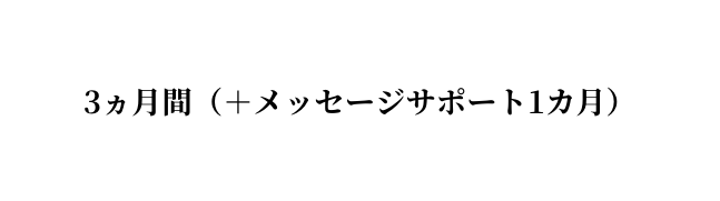 3ヵ月間 メッセージサポート1カ月